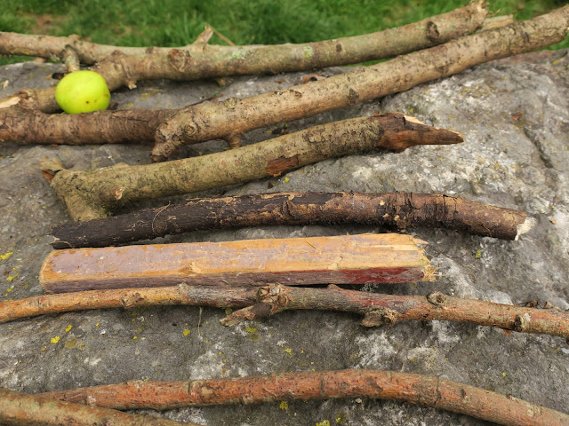 Sticks arranged in horizontal rows plus one apple on a rock