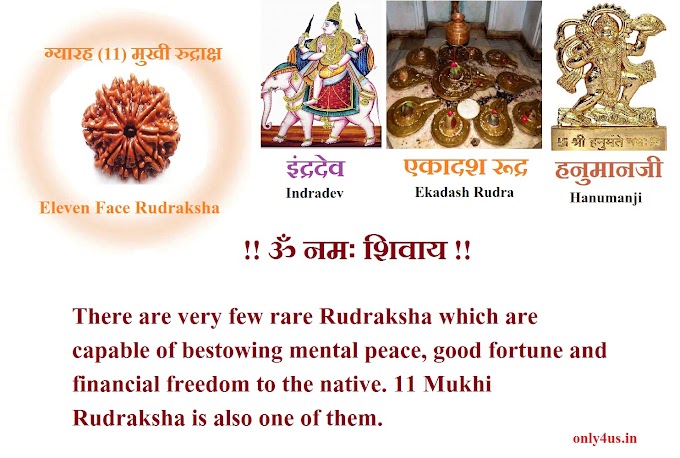 11 Face Rudraksha Benefits in English : #Mars planet# मंगल ग्रह 11 मुखी रुद्राक्ष के फायदे : only4us.in