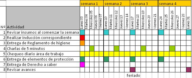 Prevención de Riesgos, un paso adelante: Carta Gantt