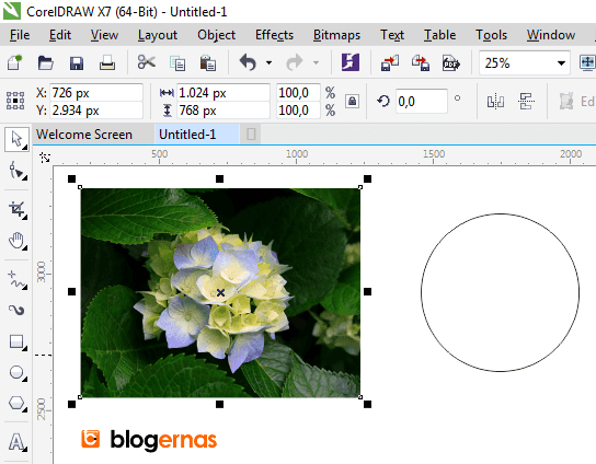 Cara Detail Cropping Foto dengan Corel Draw