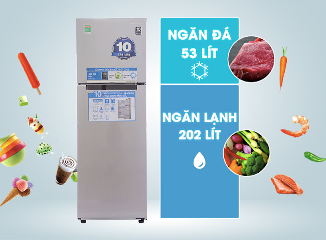 Tủ lạnh Samsung 255 lít RT25FARBDSA 