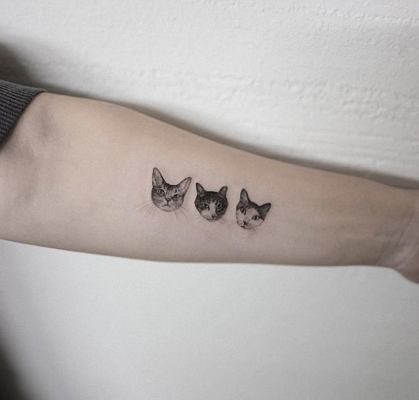 30 tatuagens de gatos que são simplesmente incríveis!