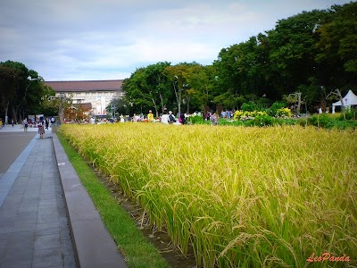 TOKYO GREEN in 上野公園