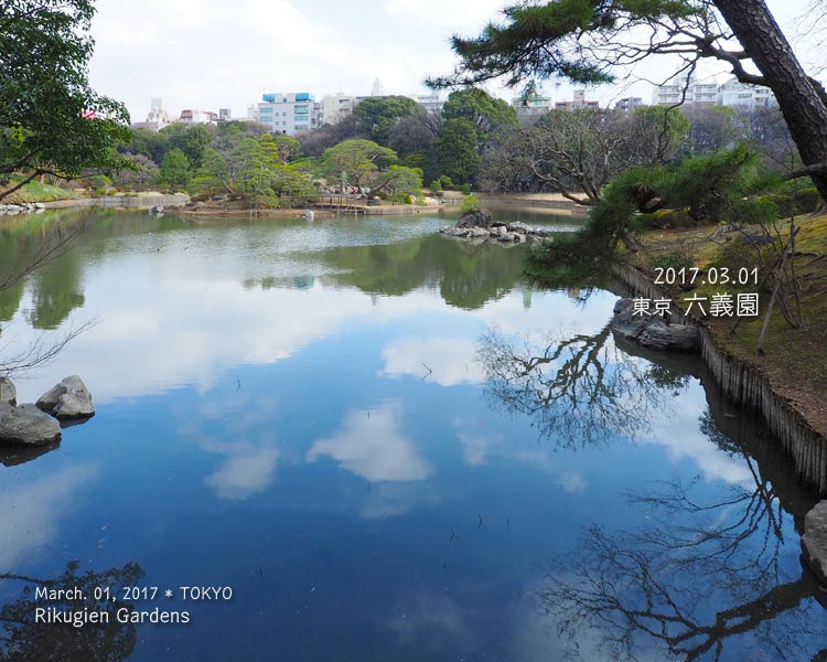 冬の六義園もいい！