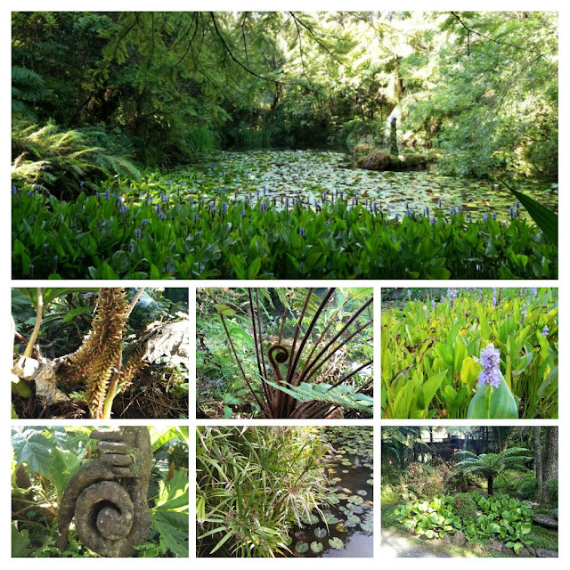 Photo des jardins d'eau de Rataura Coromandel Nouvelle-Zélande