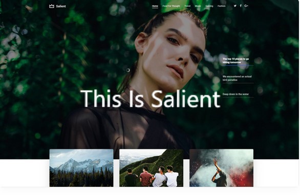 https://1.envato.market/c/1297909/275988/4415?u=https%3A%2F%2Fthemeforest.net%2Fitem%2Fsalient-responsive-multipurpose-theme%2F4363266