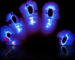 kirlian-fingerprints