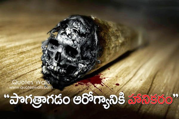 No Smoking Telugu Quotes, Slogans