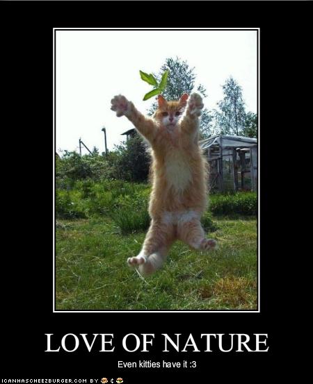 funny pictures nature