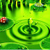Green free download desktop wallpaper