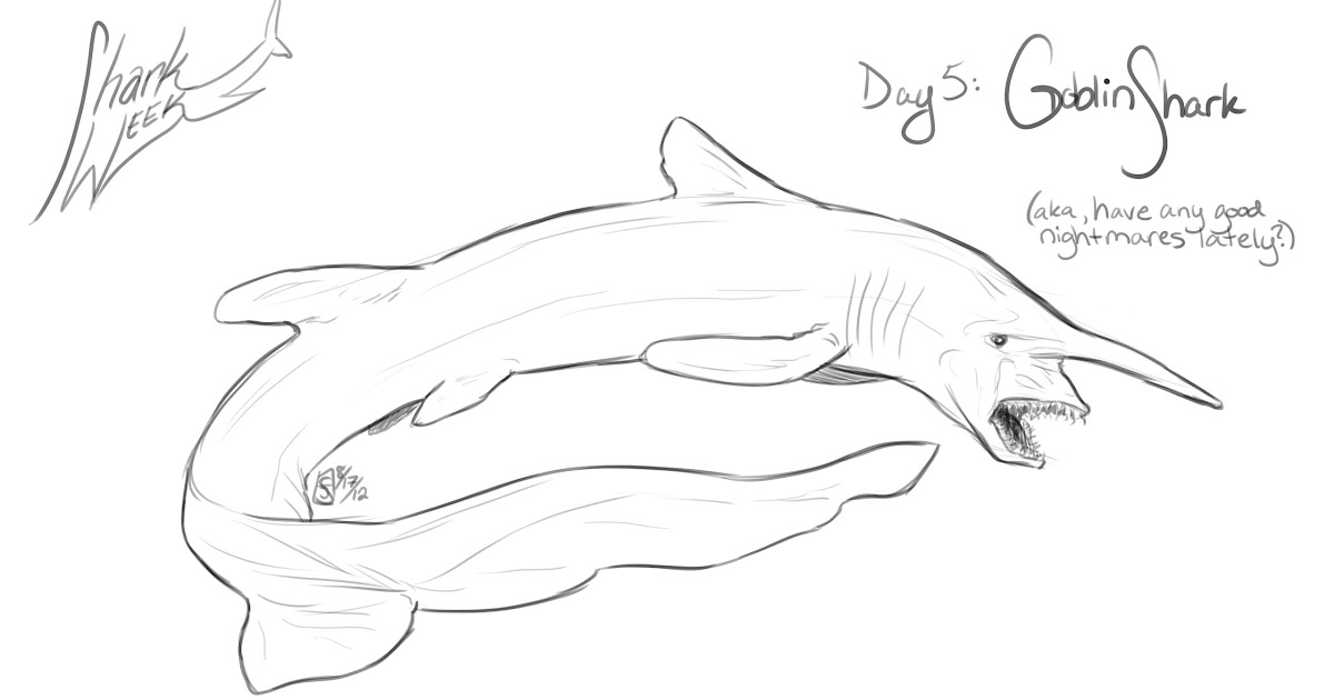 goblin shark coloring pages for kids