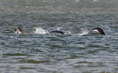 El Monstruo del Lago Ness