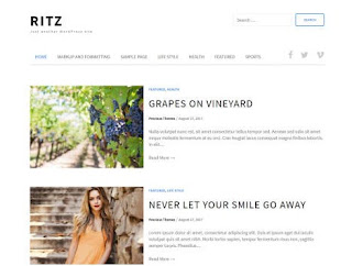 Theme Wordpress Ritz Lite Responsive Free