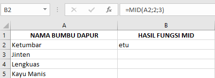 Langkah-Langkah Menggunakan Rumus Fungsi MID pada Microsoft Excel