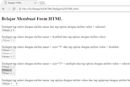 Penggunaan dan Penulisan Tag Select Dalam Form HTML