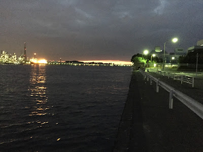 いろいろ 根岸湾 釣果 180782-根岸湾 アジ 釣果
