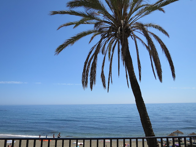 Marbella Holiday Spain Palm Tree Sea View Beach