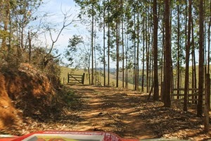 IMG_8440