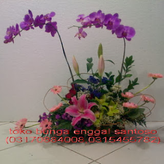 bouquet bunga segar bunga anggrek bulan