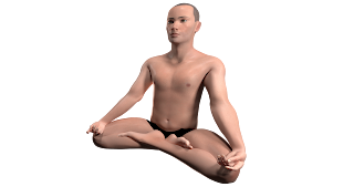 healthohuman, lotus pose, padmasana, yoga poses