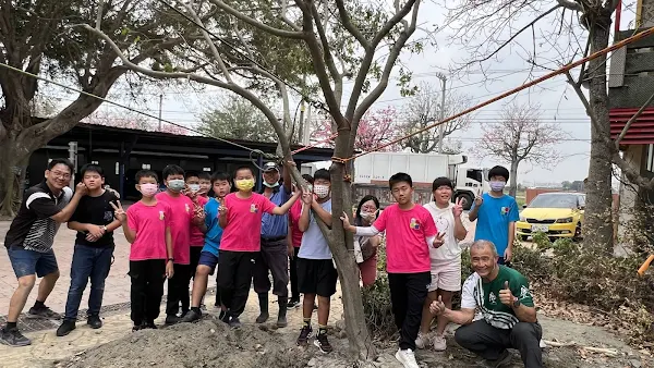 ▲彰化縣香田國小校園裡有一棵黃槐傾倒好幾天，學校邀請志工老師林義成老師，利用繩索專業技術，師生一起將黃槐扶正，歡呼搶救樹木大作戰成功。（記者林明佑翻攝）
