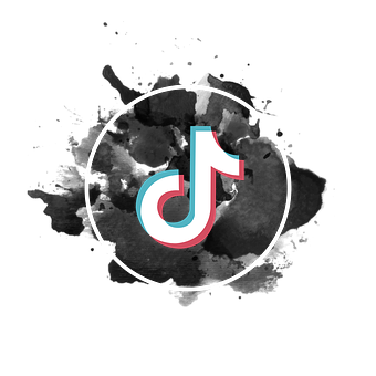 Can You See Who Watched Your Videos or TikTok Profile?