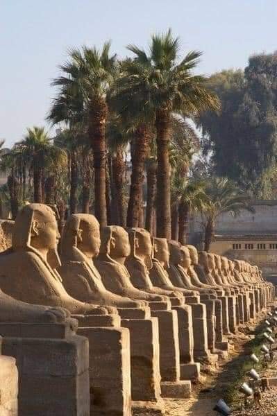 The Avenue of Sphinxes, Luxor.