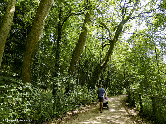 Via Verde de Arrazola, un sendero para todos los públicos por El Guisante Verde Project