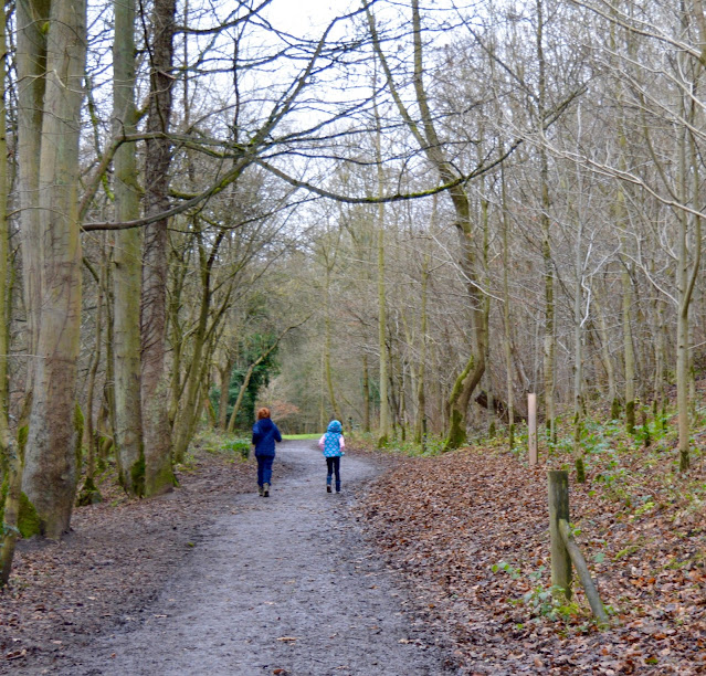 The Best Places to Find Conkers in the North East  - Plessey Woods