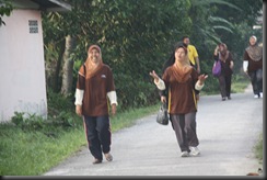 Larian 1M1S1M 052