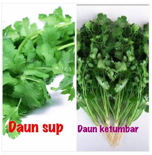 Beza Daun Sup Dengan Daun Ketumbar