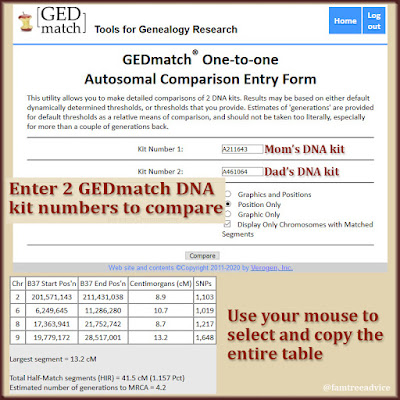 GEDmatch showed my parents may be related. But how?