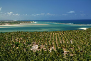 Holiday Inn Express Maceio Ponta Verde viagem turismo negócios praias lindas