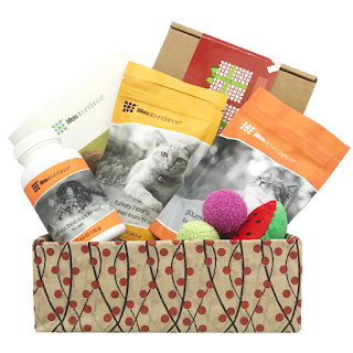 Life's Abundance holiday cat gift basket