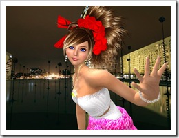 Tvd_20090609a_017