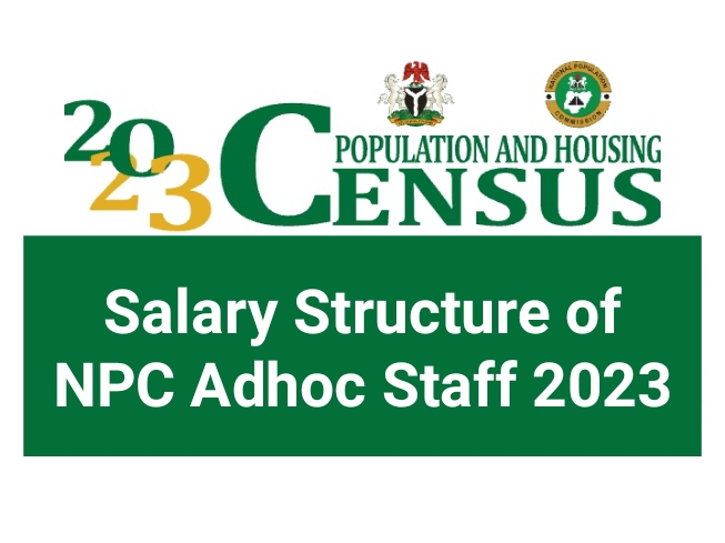 Salary Structure of NPC Adhoc Staff 2023