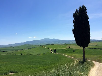 carbon road bike rental in Pienza Siena