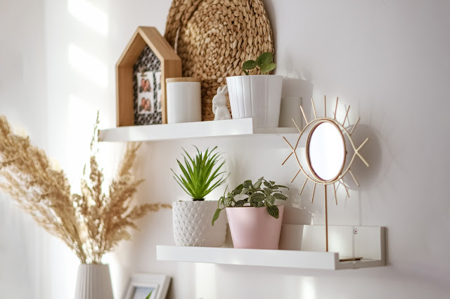 a shelf filled with potted plants next to a mirror