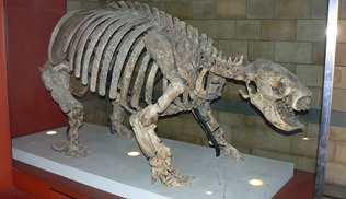 P1100644