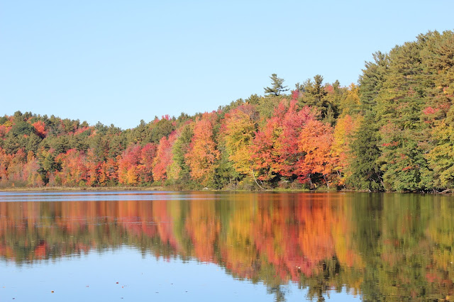 New England Fall Foliage