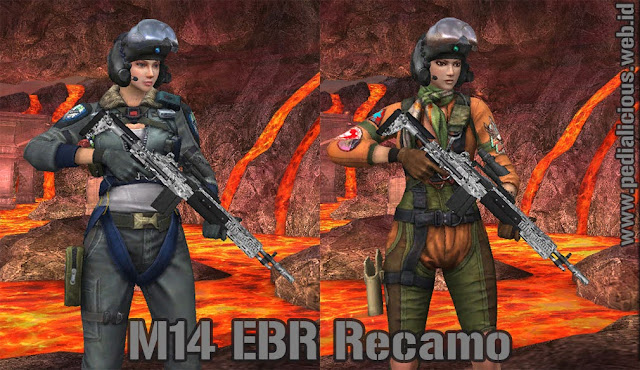 Preview Senjata M14 EBR Recamo Point Blank Zepetto Indonesia