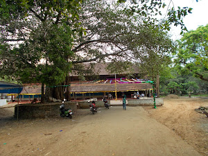 Entrance to "GURUVAYUR ANAKOTTA(Elephant Sanctuary)"