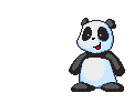 Ursinho Panda (38)