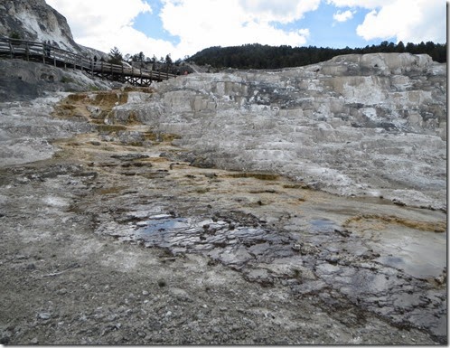 Lower Terraces Minerva Terrace