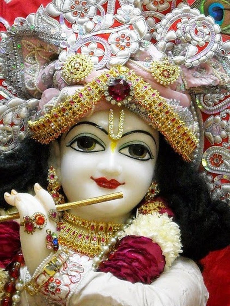 Lord Radha  Krishna  Iskcon Temple wallpapers  images 