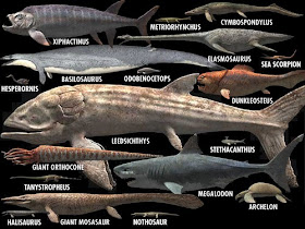 Comparación tamaño animales marinos prehistóricos más grandes