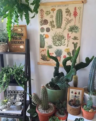 Plantas que fizeram sucesso no passado voltam a ocupar espaço na decoração 