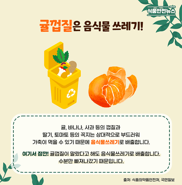 귤껍질은 음식물쓰레기 귤껍질은 음식물쓰레기