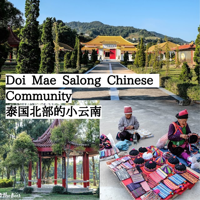 Doi Mae Salong Chinese Community, 泰国北部的小云南 