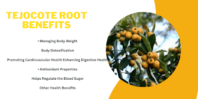 Tejocote Root Benefits